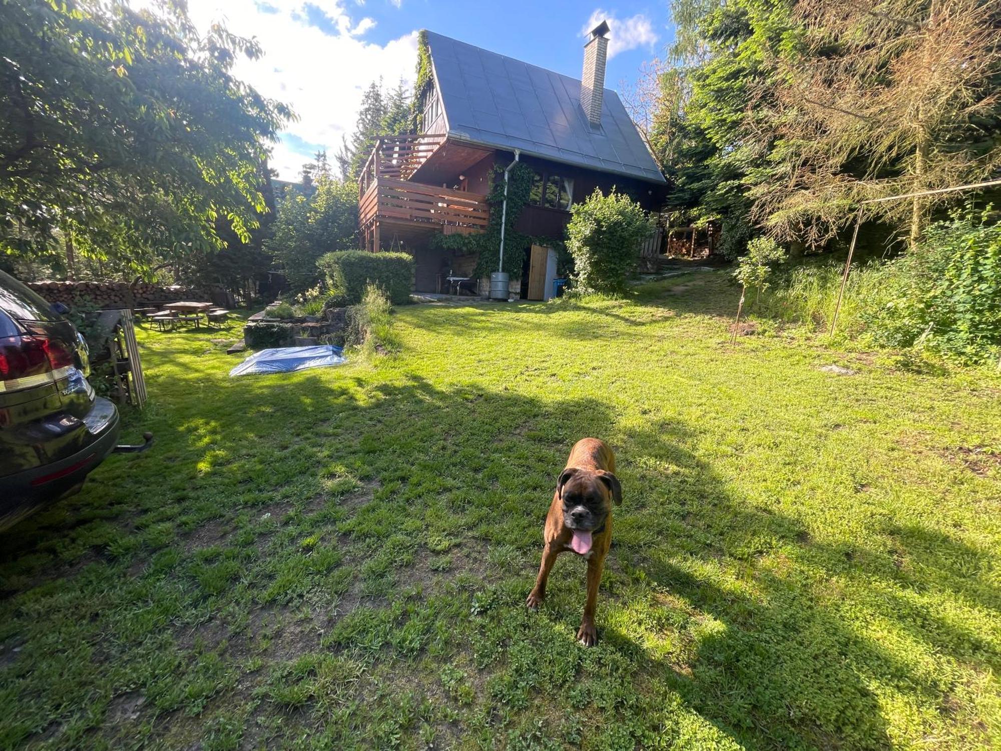 Chata Dagmar Třebíč Dış mekan fotoğraf